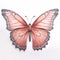 Hyperrealistic Butterfly Art On White Background