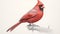 Hyperrealistic Cardinal Drawing By Art Of Drawing Isotonik Kornblum