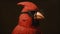 Hyperrealistic Cardinal Portrait With Glasses By Robert Taylor