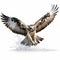 Hyperrealistic Composition: Osprey Hunting With Bold Coloration