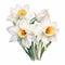 Hyperrealistic Daffodil Bouquet Illustration On White Background