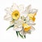 Hyperrealistic Daffodil Watercolor Painting On White Background