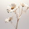 Hyperrealistic Digital Minimalism: Delicate Sculptures Of Three White Wild Daisies