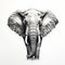 Hyperrealistic Elephant Drawing In Dark White And Silver