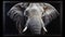 Hyperrealistic Elephant Tusked In Front Of Black Framed Painting