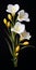 Hyperrealistic Freesia Sculpture: White Stems And Yellow Flowers