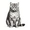 Hyperrealistic Hand-drawn Tabby Cat Illustration With Symbolic Animal Imagery