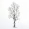 Hyperrealistic Hand-drawn Tree Illustration With Stark Minimalism