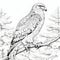 Hyperrealistic Hawk Coloring Page: Detailed And Accurate Black And White Line Drawing