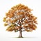 Hyperrealistic Illustration Of A Beech Tree In Autumn