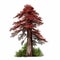 Hyperrealistic Illustration Of A Red Cedar Tree With Greenery