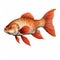 Hyperrealistic Illustration Of Red Gold Fish On White Background