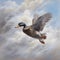 Hyperrealistic Mallard Flying In The Clouds Painting