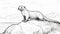 Hyperrealistic Otter Coloring Page On Rock
