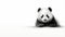 Hyperrealistic Panda Art On White Background