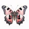 Hyperrealistic Peacock Butterfly Illustration In Pink And Black