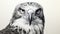 Hyperrealistic Pencil Drawing Of Osprey: Detailed Animal Portrait