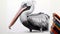 Hyperrealistic Pencil Drawing Of A Pelican