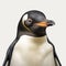 Hyperrealistic Penguin Portrait On White Background