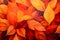 hyperrealistic photo of autumn leaves background oil paint style. Created using Generative AI