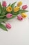 a hyperrealistic photograph of Lovely spring flowers and leaves, tulips white background of paper