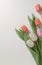 a hyperrealistic photograph of Lovely spring flowers and leaves, tulips white background of paper