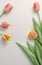 a hyperrealistic photograph of Lovely spring flowers and leaves, tulips white background of paper