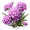 Hyperrealistic Pink Flower Bouquet With Iconographic Symbolism