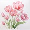 Hyperrealistic Pink Tulip Watercolor Painting On White Background