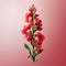 Hyperrealistic Red Flower On Pink Background With Graceful Balance