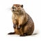 Hyperrealistic Rendering Of A Beaver Standing In A White Background