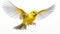 Hyperrealistic Rendering Of A Canary In Flight With High-key Lighting