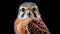 Hyperrealistic Sculpture Of American Kestrel In Flight