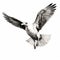 Hyperrealistic Seagull Illustration In Ingrid Baars Style