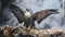 Hyperrealistic Spray Paint Art: Majestic Peregrine Falcon In Flight