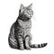 Hyperrealistic Tabby Cat Drawing On White Background