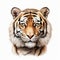 Hyperrealistic Tiger Face Illustration On White Background