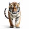 Hyperrealistic Tiger Walking On White Background