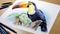 Hyperrealistic Toucan Drawing With Colored Pencils