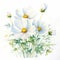 Hyperrealistic Watercolor Painting Of White Cosmos Flowers