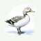 Hyperrealistic White And Brown Duck Illustration By Water