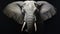 Hyperrealistic Wildlife Portrait: Painted Elephant In Contrasting Light And Shadow