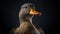 Hyperrealistic Wildlife Portrait: Stunning Duck Face In 4k