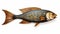 Hyperrealistic Wooden Fish Illustration With Tropical Symbolism