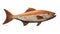 Hyperrealistic Wooden Fish Statue With Brown Markings On White Background