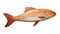 Hyperrealistic Wooden Fish Statue With Orange Stripes