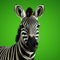 Hyperrealistic Zebra 3d Render On Vibrant Green Background