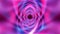 hypnotic Pink blue Wave Vortex in loop.