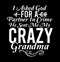 I Asked God For A Partner In Crime He Sent Me My Crazy Grandma, Best Quote For Mom, Crazy Grandma T shirt