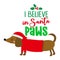 I believe in Santa paws Santa Claus - Calligraphy phrase for Christmas.